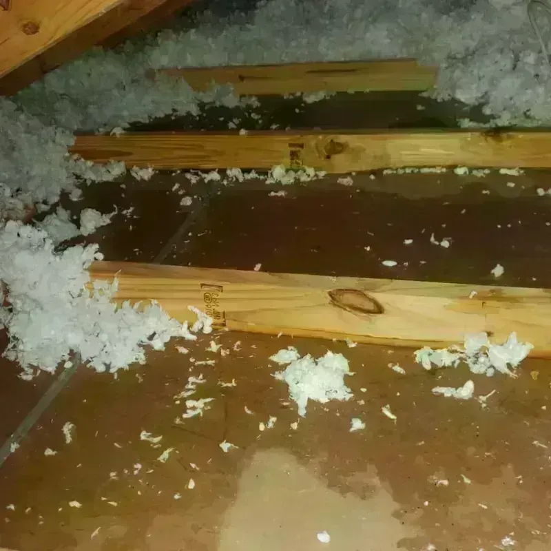 Attic Water Damage in Floyd County, KY